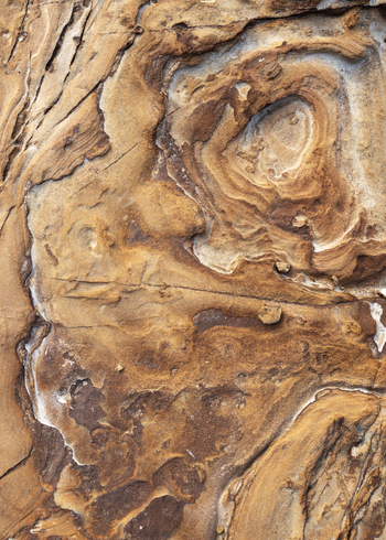 View of the intricate circular erosion patterns and layered textures of the Calafuria sandstone rock formations in Calafuria Toscana Italy.