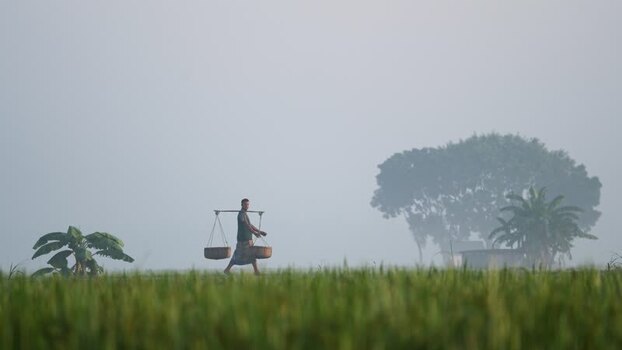 View of a man carrying baskets in a misty field Bangladesh.