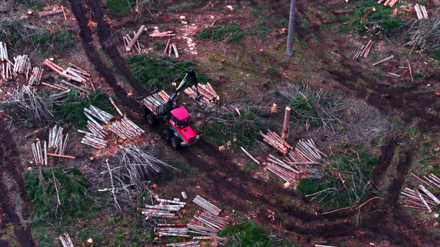 Aerial view of a red forestry machine loading logs in a forest clearing with tire tracks and piles of timber in Latvia. Aerial view of a red forestry machine loading logs in a forest clearing with tire tracks and piles of timber in Latvia.