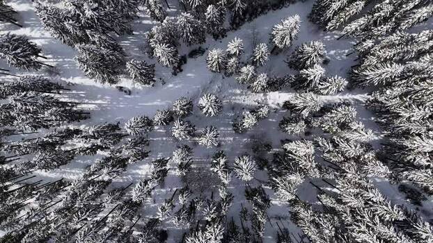 Aerial view of snow covered forest in Weststeiermark Austria.