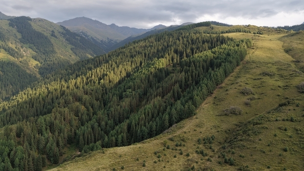 Aerial view of the mountainous landscape featuring dense pine forests and grassy slopes under a cloudy sky in Tokmak Chuy Province Kyrgyzstan. Aerial view of the mountainous landscape featuring dense pine forests and grassy slopes under a cloudy sky in Tokmak Chuy Province Kyrgyzstan.