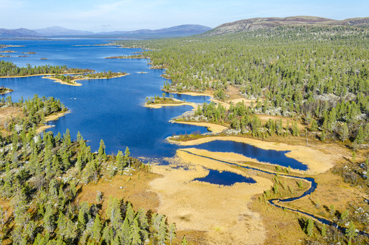 Aerial view of Rogen nature reserve featuring a vast blue lake numerous small islands dense coniferous forests and golden marshlands in Tannas Jamtland County Sweden. Aerial view of Rogen nature reserve featuring a vast blue lake numerous small islands dense coniferous forests and golden marshlands in Tannas Jamtland County Sweden.