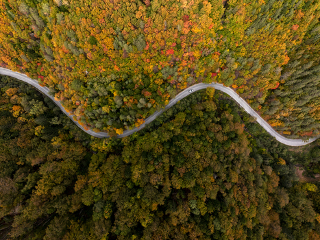 Aerial view of a winding road cutting through a dense forest with vibrant autumn foliage in shades of orange yellow and green in Bulgaria. Aerial view of a winding road cutting through a dense forest with vibrant autumn foliage in shades of orange yellow and green in Bulgaria.