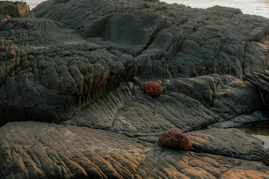 View of rugged textured rocks under a warm light contrasting with the smooth red stones nestled within their crevices Chiplun Maharashtra India. View of rugged textured rocks under a warm light contrasting with the smooth red stones nestled within their crevices Chiplun Maharashtra India.