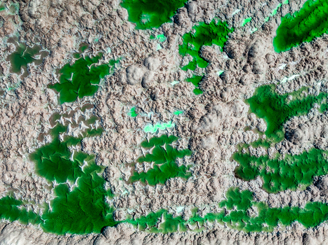 Aerial view of vibrant green phosphor deposits within a textured salt pan landscape in Andalusia Spain. Aerial view of vibrant green phosphor deposits within a textured salt pan landscape in Andalusia Spain.
