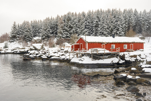 View of a traditional red wooden house on a snowy rocky shore with a forest of pine trees in the background in Leknes Lofoten Norway.