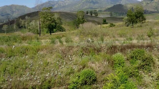 Aerial view of lush green hills and mountains in Bali Indonesia. Aerial view of lush green hills and mountains in Bali Indonesia.