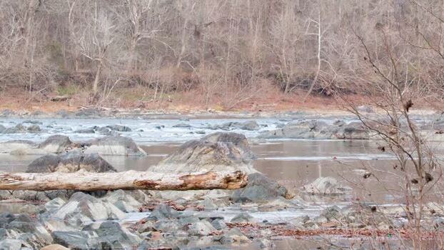 View of Scott s Run Nature Preserve with a rocky river United States. View of Scott s Run Nature Preserve with a rocky river United States.