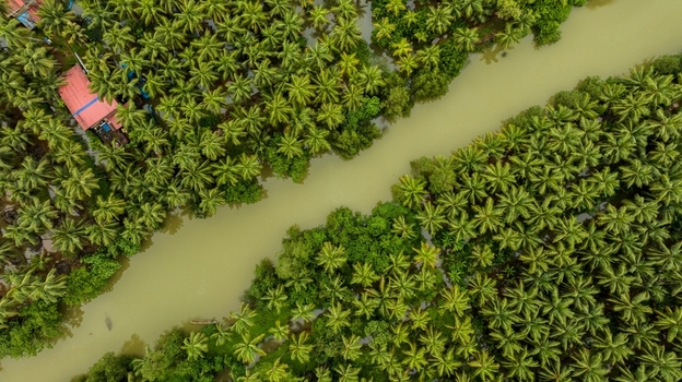 Aerial view of a river flowing through lush palm tree plantations in Honnavar Karnataka India.