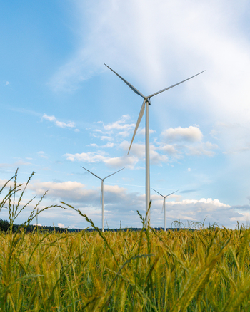 View of wind turbines standing in a golden wheat field under a blue sky with clouds in Poland.