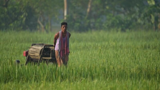 View of a farmer with a harvesting machine in a field Bangladesh. View of a farmer with a harvesting machine in a field Bangladesh.
