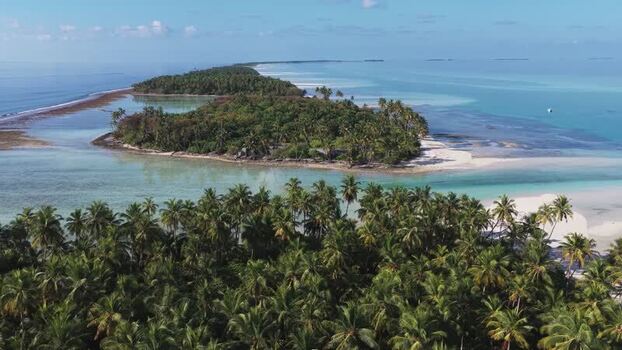 Aerial view of tropical islands with palm trees Maldives.