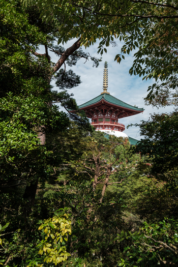 View of the vibrant red pagoda framed by lush green foliage under a soft sky a serene escape in Naritasan Shinsho ji Narita Chiba Japan. View of the vibrant red pagoda framed by lush green foliage under a soft sky a serene escape in Naritasan Shinsho ji Narita Chiba Japan.