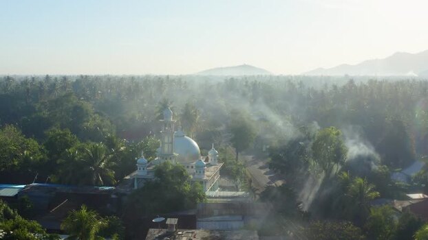Aerial view of a mosque dome and tropical palm trees in Gerokgak Indonesia. Aerial view of a mosque dome and tropical palm trees in Gerokgak Indonesia.