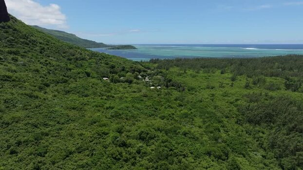 Aerial view of Le Morne Brabant mountain and lagoon Mauritius.