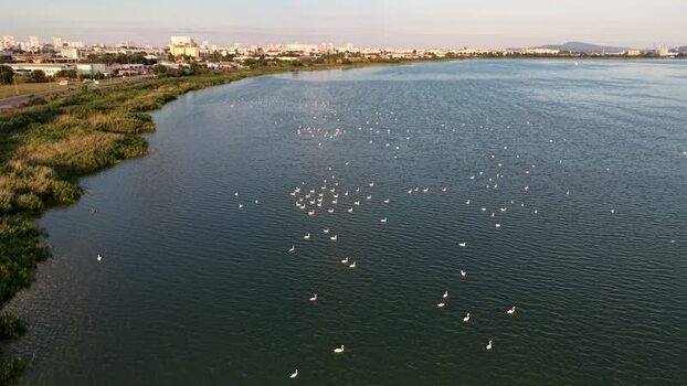 Aerial view of Lake Burgas with birds on the water Bulgaria. Aerial view of Lake Burgas with birds on the water Bulgaria.