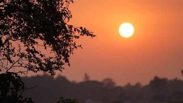 View of the sun setting behind tree silhouettes in Bangladesh. View of the sun setting behind tree silhouettes in Bangladesh.