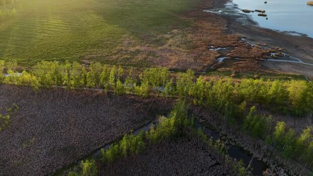 Aerial view of Otaniemi wetlands Finland.