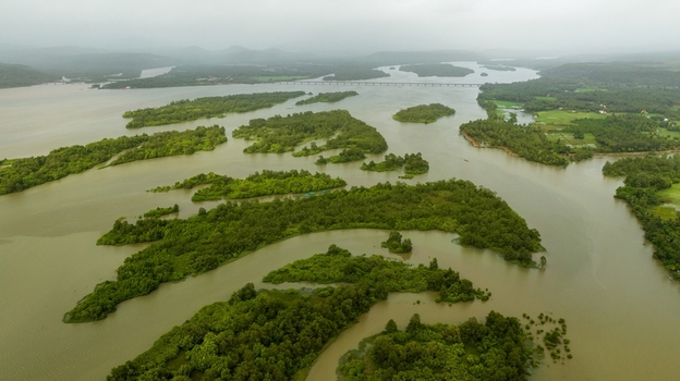 Aerial view of the lush green islands within the Sharavathi River backwaters under an overcast sky with a bridge spanning the water in Honnavar Karnataka India.