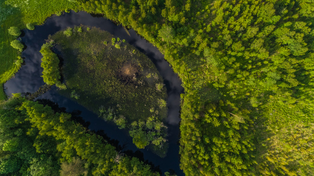 Aerial view of a winding river flowing through a lush green forest in Latvia. Aerial view of a winding river flowing through a lush green forest in Latvia.