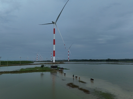 Aerial view of Khurushkul wind power plant with red and white turbines standing in flooded fields and people walking with cattle in Cox s Bazar Chittagong Division Bangladesh. Aerial view of Khurushkul wind power plant with red and white turbines standing in flooded fields and people walking with cattle in Cox s Bazar Chittagong Division Bangladesh.