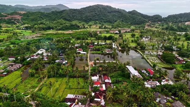 Aerial view of rice fields and village in Bali Indonesia.