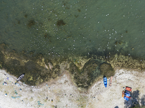 Aerial view of Shiroke Pier on the shore of Lake Shkoder with small boats kayaks and a flock of seagulls flying over the clear water in Shkoder Qarku i Shkodres Albania. Aerial view of Shiroke Pier on the shore of Lake Shkoder with small boats kayaks and a flock of seagulls flying over the clear water in Shkoder Qarku i Shkodres Albania.