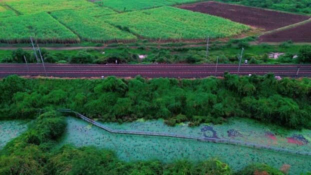 Aerial view of railway tracks through green fields in India.