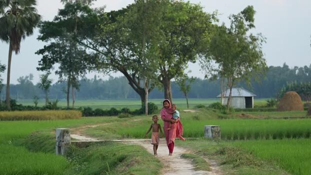 View of a woman walking with children through rice fields Bangladesh. View of a woman walking with children through rice fields Bangladesh.