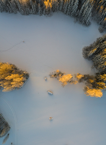 Aerial view of a snow covered forest landscape with evergreen trees illuminated by golden hour light and small structures in the snow in Latvia. Aerial view of a snow covered forest landscape with evergreen trees illuminated by golden hour light and small structures in the snow in Latvia.