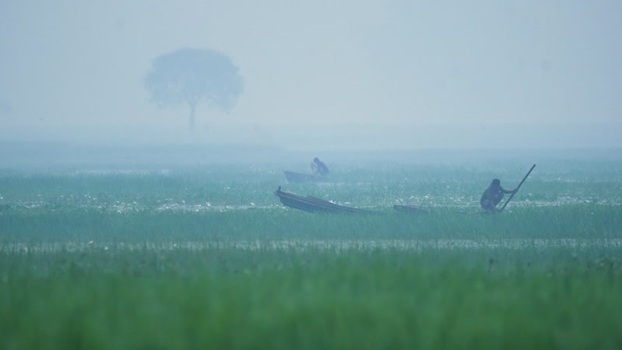 View of fishermen in wooden boats in a misty field Bangladesh.