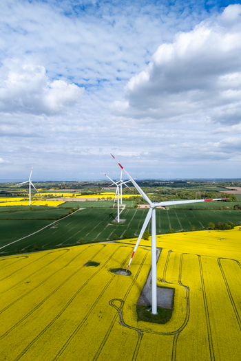 Aerial view of modern wind turbines standing in vibrant yellow rapeseed fields and green farmland under a cloudy sky in Dollerup Schleswig Holstein Germany.