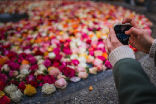 Zurich Switzerland 02 April 2023 View of a vibrant tapestry of roses captured through a smartphone their petals a kaleidoscope of pinks oranges and yellows on the stone surface. Zurich Switzerland 02 April 2023 View of a vibrant tapestry of roses captured through a smartphone their petals a kaleidoscope of pinks oranges and yellows on the stone surface.