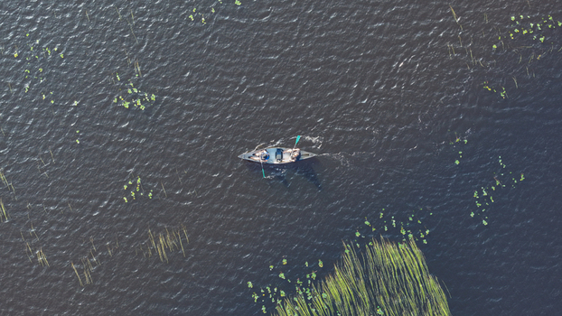 Aerial view of a canoe with two people paddling on the calm waters of Oulujarvi lake surrounded by aquatic plants in Finland.
