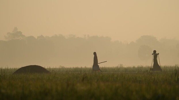 View of workers walking through a misty field Bangladesh