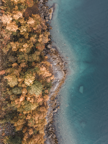 Aerial view of the rugged coastline of Lofoten with autumn colored trees rocky shores and clear blue water in Svolvaer Nordland Norway.