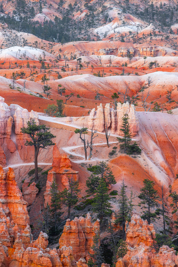 View of Bryce Canyon National Park with its iconic orange hoodoos winding hiking trails and scattered pine trees in Utah United States.