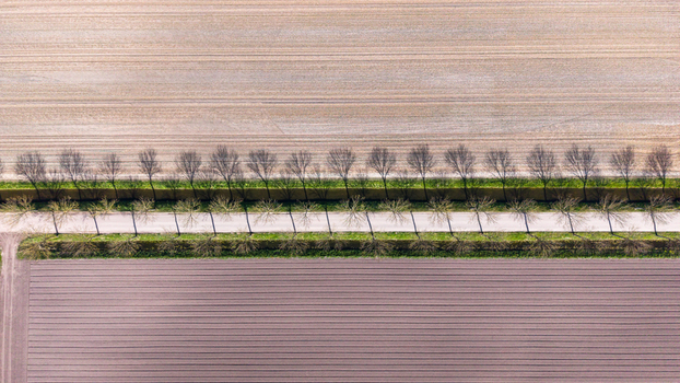 Aerial view of a line of bare trees dividing fields of contrasting textures and tones in the serene landscape Lambertschaag North Holland Netherlands. Aerial view of a line of bare trees dividing fields of contrasting textures and tones in the serene landscape Lambertschaag North Holland Netherlands.
