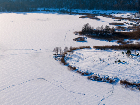 Aerial view of a frozen lake and snow covered landscape with footprints and sparse trees in Lithuania. Aerial view of a frozen lake and snow covered landscape with footprints and sparse trees in Lithuania.