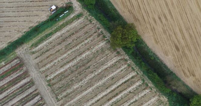 Aerial view of agricultural fields and farm machinery Italy. Aerial view of agricultural fields and farm machinery Italy.