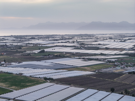 Aerial view of vast agricultural fields and white greenhouses under a hazy sky with mountains in the background Paestum Campania Italy.