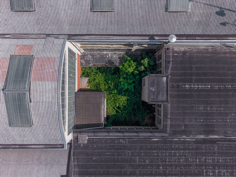 Aerial view of a building rooftop with a central courtyard filled with lush green trees surrounded by corrugated metal and flat roofing materials in Casale Monferrato Piedmont Italy. Aerial view of a building rooftop with a central courtyard filled with lush green trees surrounded by corrugated metal and flat roofing materials in Casale Monferrato Piedmont Italy.