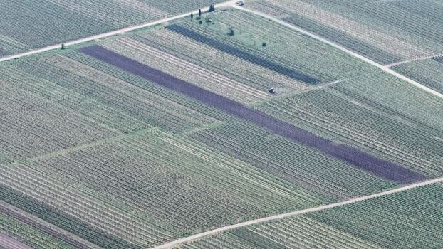 Aerial view of geometric vineyard rows and rural fields France.