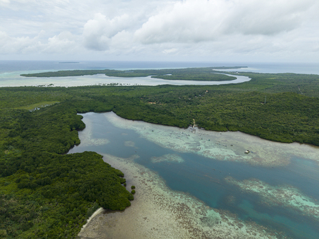Aerial view of the tranquil mangrove forest meeting the clear turquoise waters under a vast cloudy sky Karimunjawa Central Java Indonesia.
