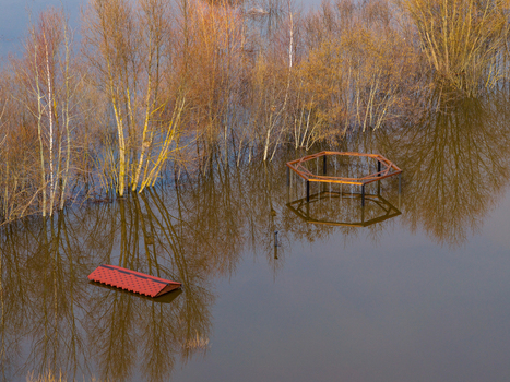 Aerial view of a flooded park area with submerged trees a red roof and a hexagonal wooden structure reflecting in the water Kedainiai Kaunas County Lithuania. Aerial view of a flooded park area with submerged trees a red roof and a hexagonal wooden structure reflecting in the water Kedainiai Kaunas County Lithuania.