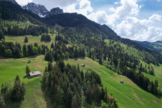 Aerial view of lush green alpine meadows and dense pine forests with traditional wooden chalets nestled on the slopes under a cloudy sky in Rougemont Vaud Switzerland. Aerial view of lush green alpine meadows and dense pine forests with traditional wooden chalets nestled on the slopes under a cloudy sky in Rougemont Vaud Switzerland.