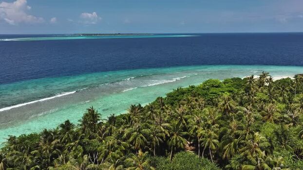 Aerial view of tropical island palm trees and coral reefs Maldives. Aerial view of tropical island palm trees and coral reefs Maldives.