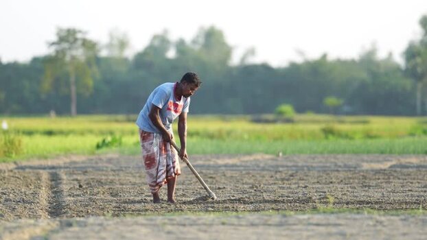 View of a farmer working in a field with a hoe Bangladesh. View of a farmer working in a field with a hoe Bangladesh.