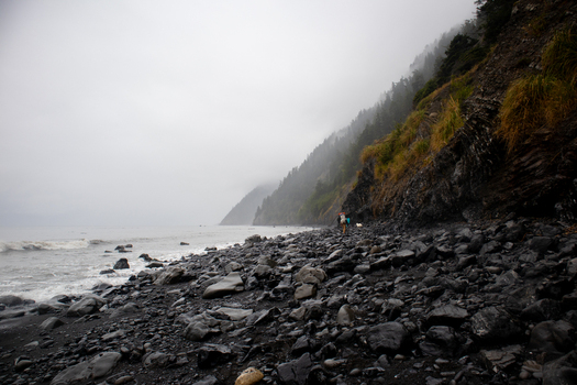 View of the rugged Lost Coast featuring a rocky black sand beach and misty forested cliffs under an overcast sky in Humboldt County California United States.