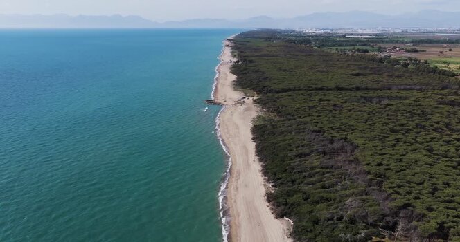 Aerial view of a sandy coastline and pine forest Italy.